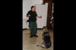 Seiner feinen Nase entgeht nichts: Rauschgiftspürhund Seiner feinen Nase entgeht nichts: Rauschgiftspürhund "Basco" findet kleinste versteckte Drogenmengen und sorgt in der JVA Nürnberg für Sicherheit (Tag der offenen Tür in Nürnberg, 22. Mai 2014)